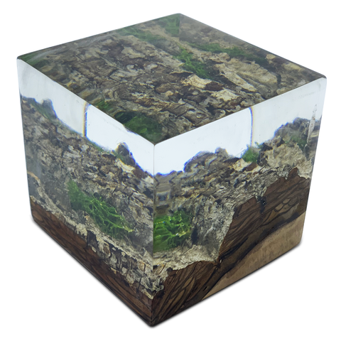 Wood Bark Minimal Decorative Cube